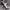 6c1610e6-21d6-4771-9f81-39b885b2fc50-Max-Origin