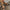 6c1ca8b37e1d4990a2113540712ef385-Max-Origin