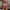 6c74335d9e864d14aebc8c788e112cb8-Max-Origin