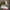 6c7f7e8338a34cb5ad6d3b4aaaaf020e-Max-Origin