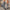 6cb917ea-ddb9-4ca1-b704-e1cb9e350342-Max