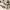 6cd372aa-6e3c-4fe3-b353-ce143d8bbebb-Max