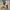 6f77fcda-5204-4d28-a7e6-7f396e5b2701-Max-Origin