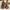 702bca54-f42a-4823-9b1b-0d41d158cb26-Max-Origin