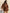 70c5f9f1-4e98-489b-ad4a-c84f40534a6e-Max-Origin
