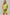 720286871f1a436b86326cd86fdd24fb-Max-Origin