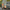 730c9451-3c30-4597-8960-7c66b3999b2a-Max
