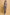 744254e2-a134-4f53-b8f9-ef91742f5618-Max