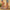 746cf26995a0402e881cc8ca12ade4e2-Max-Origin