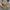 75ac5489-7232-4497-bce8-c3fbedc252ef-Max