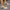 75b0809f77994c8a956a1889f0694f19-Max-Origin