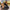 76daa377-efde-4789-9f31-4af09809d340-Max-Origin