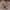 777081ec-010b-4f29-bf73-f18f4cb9bc3e-Max