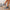 777aa1fd-2d8e-40c5-9162-67b4d7111330-Max