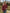 7877f0a580a94dcbabf21cf1b26c9cee-Max