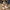 7b1b4141-3c69-409b-a83b-ed4e3eead937-Max-Origin