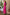 7b78279d8e4e4315a734dc5d9938dceb-Max-Origin