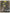 7d187938294e402e80e8c76691549caf-Max-Origin