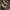 7d3431c6-c76e-4f0d-affb-43049dee5c23-Max