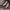 7f81bb0bebdf426eb6f0db7cbdf93766-Max-Origin