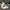 7f94cec2569b4c11bffbd42c60a0ac4c-Max-Origin