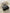 7f97d56c-20c2-46d6-9740-10eeb77268be-Max