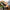 7f99829d-b2dd-4302-87e2-9f4bd2a82682-Max