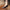 7f9e78b4fa1e4ab88541f9ae91ebc02f-Max-Origin