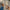 80f2c40f-8346-4c03-9cd8-8aea8333c447-Max