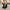 81062a26-6f11-4c70-a9d4-9727e3405c20-Max-Origin