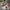 8123e018a1b34acfaca1f7df5769b6ef-Max-Origin