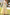 81f0d88d-8c71-4ebb-b32e-960fad9421ac-Max