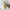 821f906a-b1b4-435c-ba4e-28839b46edb6-Max