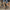 823b203d-967f-46c7-ab00-ecc4e5103087-Max