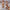 82ed0070f6424ce7958527bac5881af1-Max-Origin