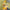 832fd4ee59f242e7ac2e94bea199f1c8-Max-Origin