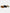 85803bbd-407c-4dfa-918b-c1967409b808-Max