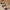 85c0f9d88a0f4538abca4a3ca64d9fbc-Max-Origin
