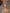 85d41161-7c31-49e3-9927-c5a26daa1a3c-Max-Origin