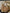 864ff36d-0d05-4e88-b2ef-35f218066135-Max-Origin