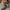 8676280b-701a-4678-917d-6c416ceec5d3-Max