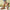869b69f1-8570-48be-8e6a-761d3076a0df-Max-Origin