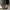 87d2871d-66c4-407f-a7d7-7c19cd54c681-Max