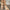 88882e5a47354f02adc9e4ffa2956b9a-Max-Origin