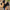 88b6977b69e44f55a9467fef0e863d49-Max-Origin