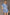 89362e7f-57fd-4764-93c8-a8cf6209b461-Max-Origin