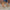 8bdd36df-1907-467f-882a-aa788322ca61-Max