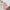 8c2c4804-e583-4b13-b28f-4bee49f033d8-Max