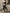 8da5addfc481463e8856851c3c77a080-Max-Origin