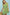 Umgee Tropical Floral Flutter Sleeve Swing Dress